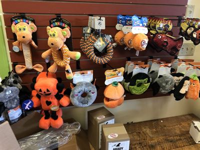 Any 1 Pet Toy up to $20